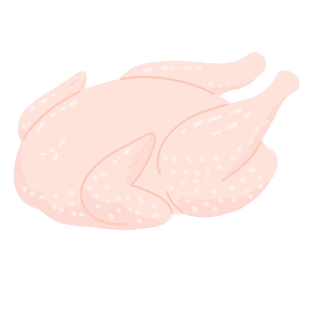 丸鶏の無料イラスト素材