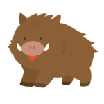clip art of wild boar(boar)