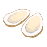殻付き牡蠣（かき）の無料イラスト素材