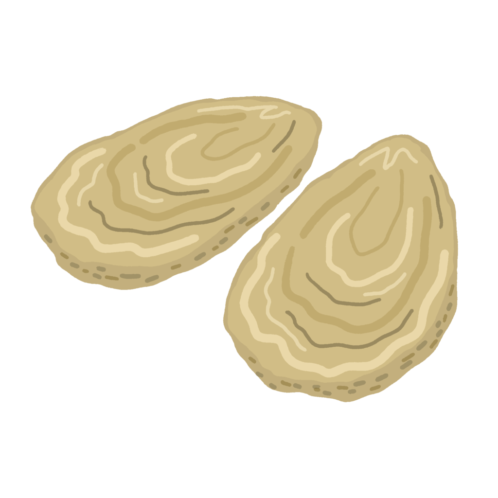 牡蠣（かき・カキ）の無料イラスト素材