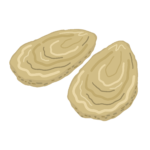 牡蠣（かき・カキ）の無料イラスト素材