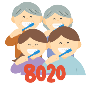 8020運動の無料イラスト素材