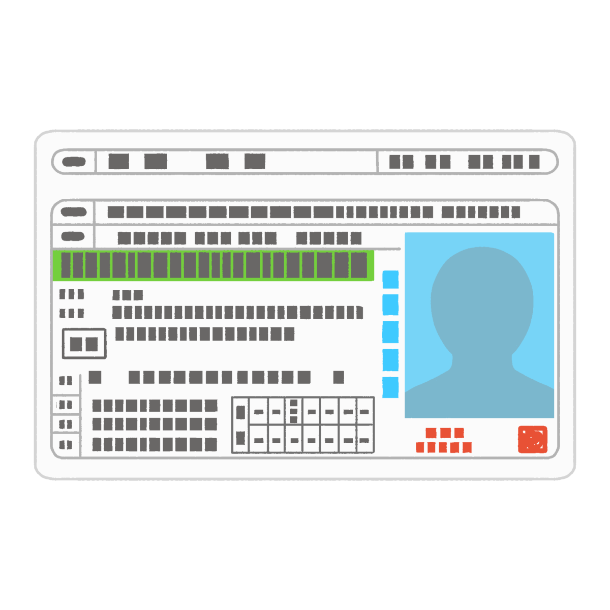 運転免許証（グリーン免許）のフリーイラスト素材