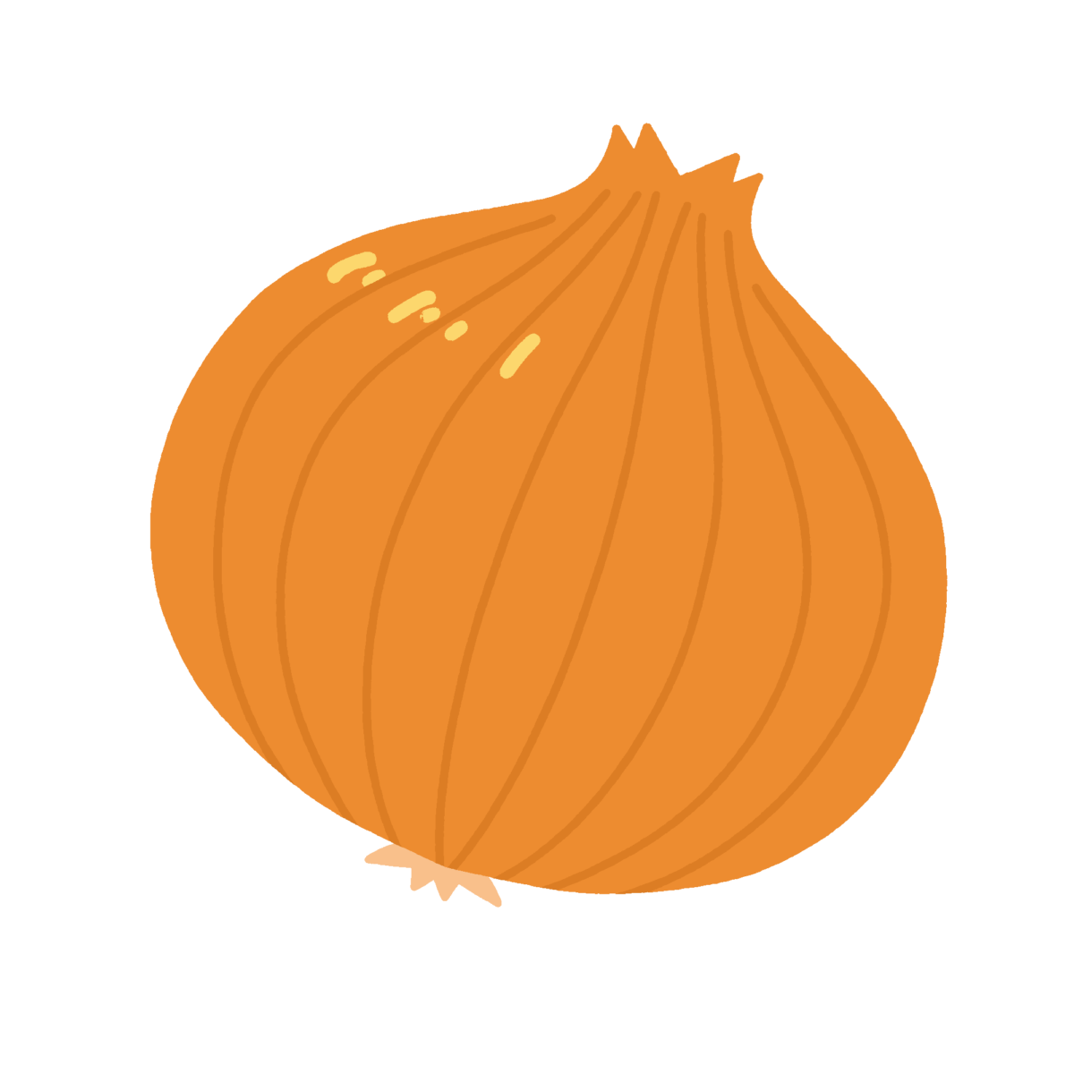 たまねぎの無料イラスト｜給食だより・料理教材向けカラー素材