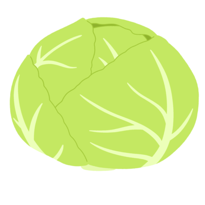 キャベツの無料イラスト｜食育プリント・学校だより向けカラー素材