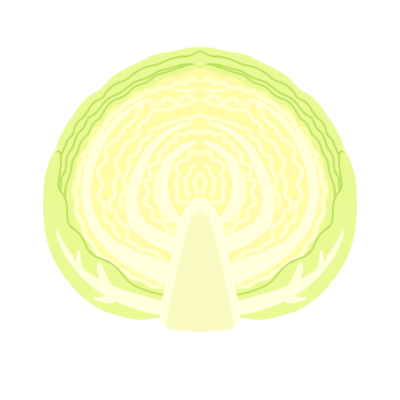 キャベツ（半玉）の無料イラスト｜食育・給食だより向け素材