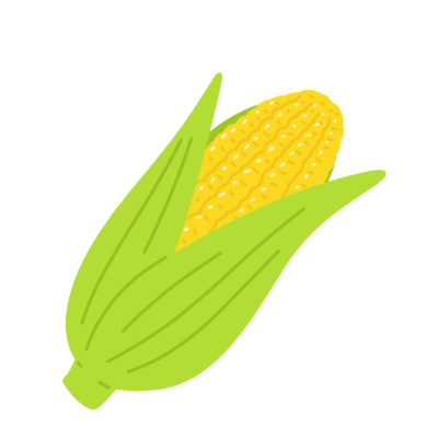 皮付きトウモロコシの無料イラスト｜夏の食育・学校プリント向けフリー素材