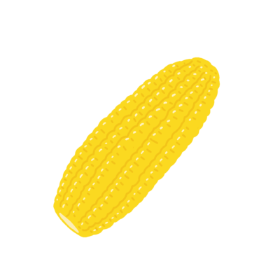 ゆでたトウモロコシの無料イラスト｜給食・食育プリント向けフリー素材