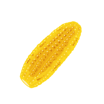 やきとうもろこしの無料イラスト｜夏祭り・給食だより向けフリー素材