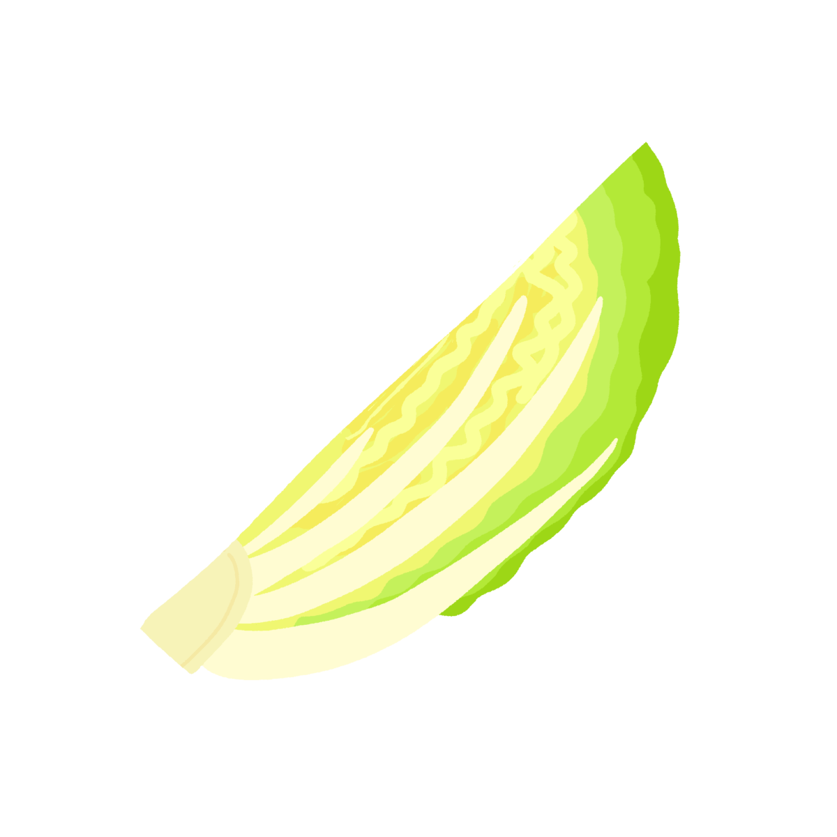 白菜（四分の一）の無料イラスト｜冬の食育・給食プリント向けフリー素材