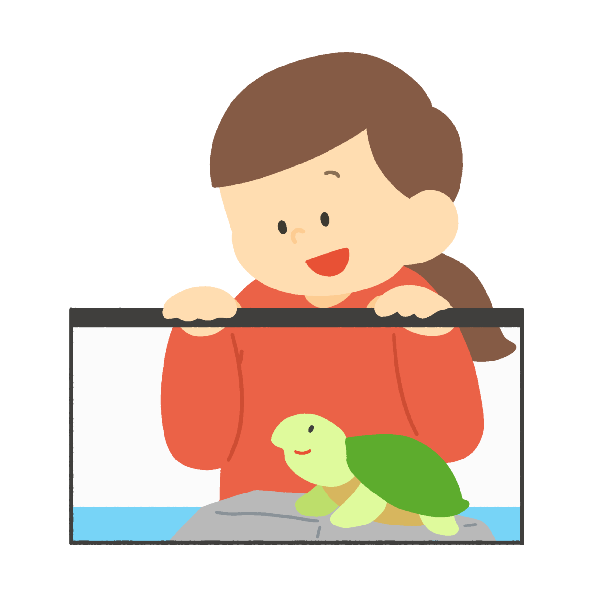 カメの観察をする生きもの係の女の子の無料イラスト｜理科・生活科プリント向け素材