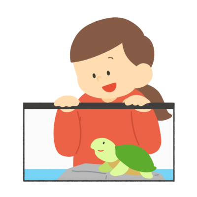 カメの観察をする生きもの係の女の子の無料イラスト｜理科・生活科プリント向け素材