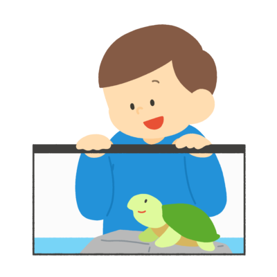 カメの観察をする生きもの係の男の子の無料イラスト|生活科・理科おたより向け素材
