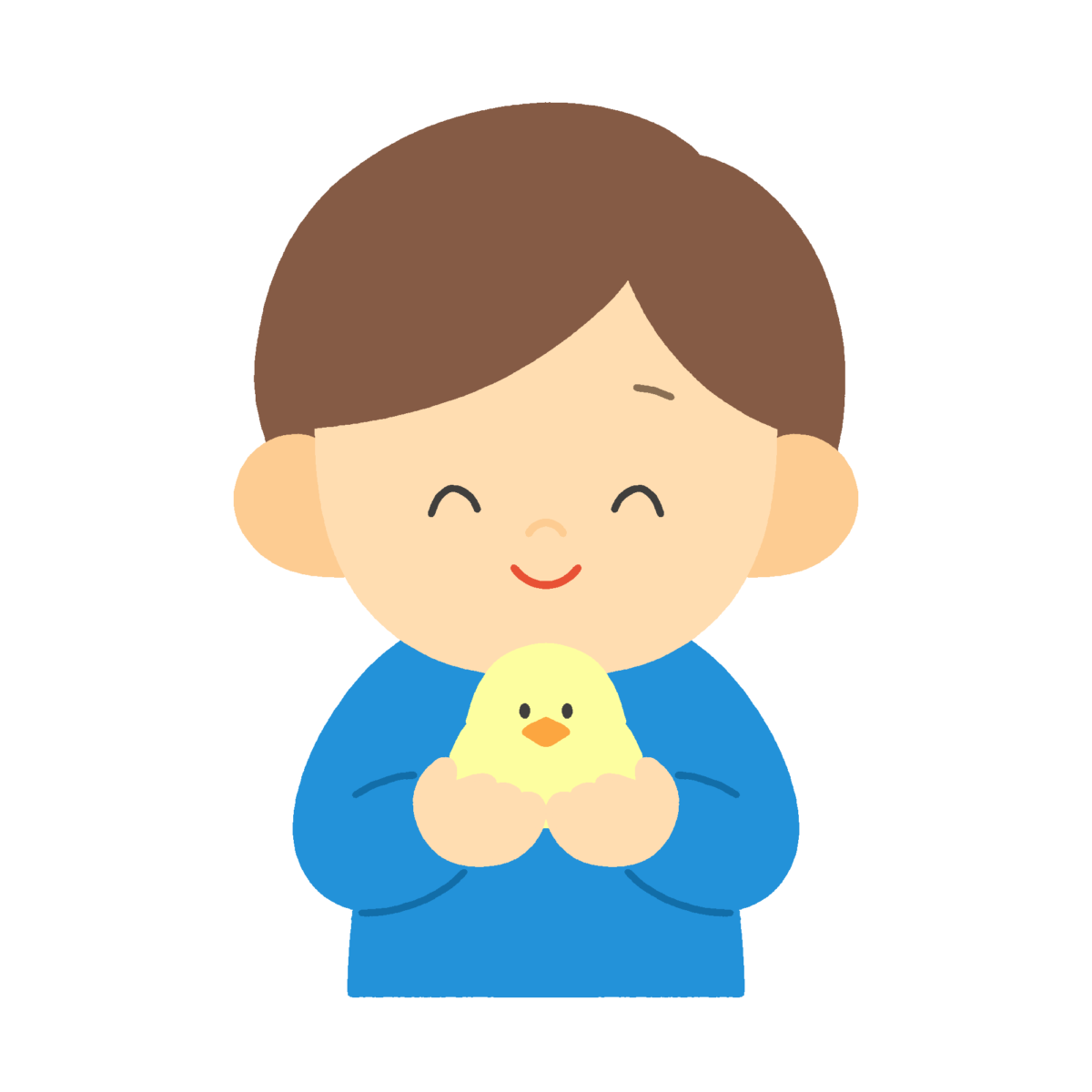 ひよこを大切に持つ男の子の無料イラスト｜道徳向け素材