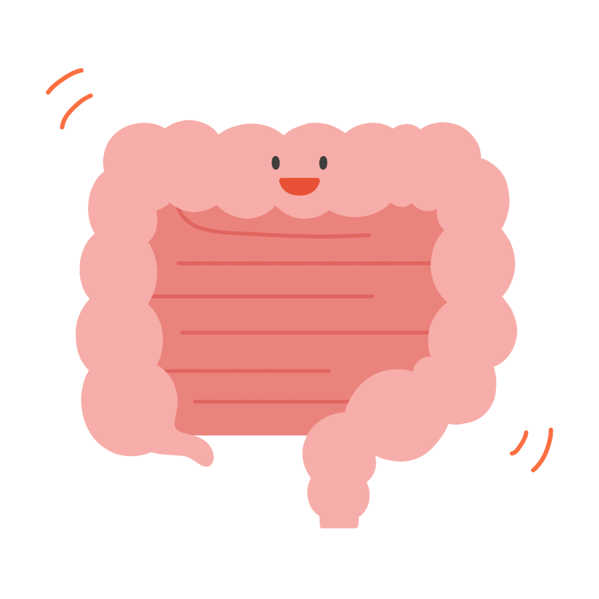 よく動く腸のキャラクターの無料イラスト｜保健向け素材