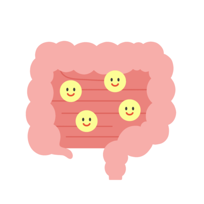 善玉菌と腸の無料イラスト｜腸内環境の学習向け素材